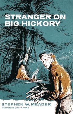 bokomslag Stranger on Big Hickory