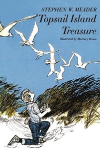 bokomslag Topsail Island Treasure