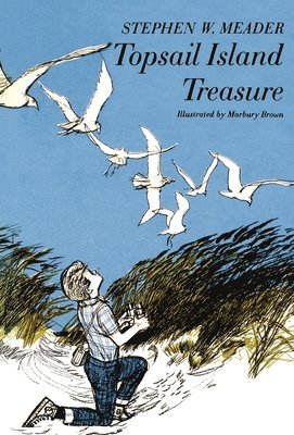 bokomslag Topsail Island Treasure