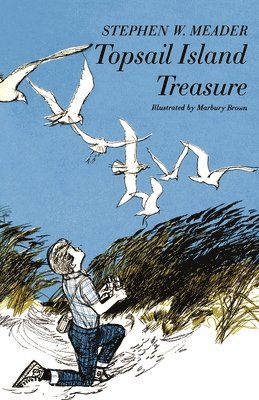bokomslag Topsail Island Treasure