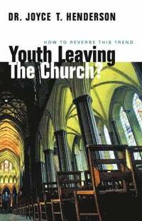 bokomslag Youth Leaving the Church?