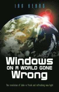 bokomslag Windows on a World Gone Wrong