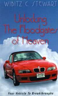 bokomslag Unlocking the Floodgates of Heaven