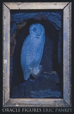 Eric Pankey - Oracle Figures, Häftad