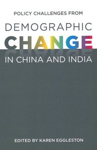 bokomslag Policy Challenges from Demographic Change in China and India