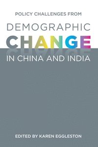 bokomslag Policy Challenges from Demographic Change in China and India