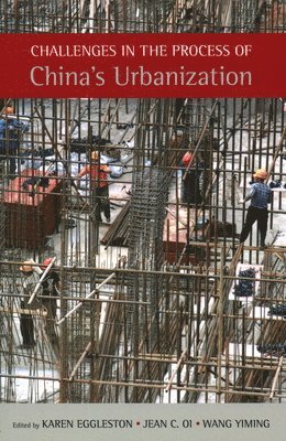 Challenges in the Process of China's Urbanization 1