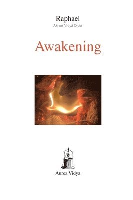 bokomslag Awakening