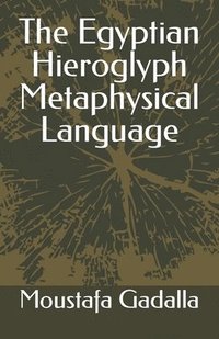 bokomslag The Egyptian Hieroglyph Metaphysical Language