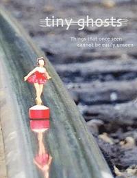 bokomslag Tiny Ghosts