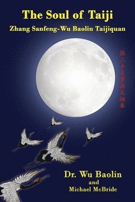 Soul of Taiji 1