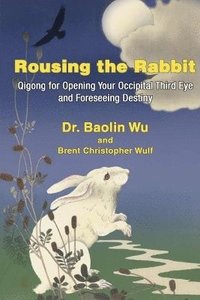 bokomslag Rousing the Rabbit