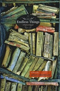 bokomslag Endless Things