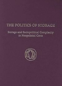 bokomslag Politics of Storage