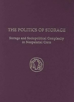 bokomslag Politics of Storage