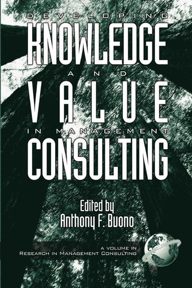 bokomslag Developing Knowledge and Value in Management Consulting