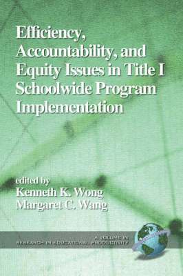 bokomslag Accountability, Efficiency and Equity