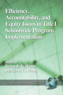 Accountability, Efficiency and Equity 1