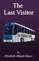 bokomslag The Last Visitor