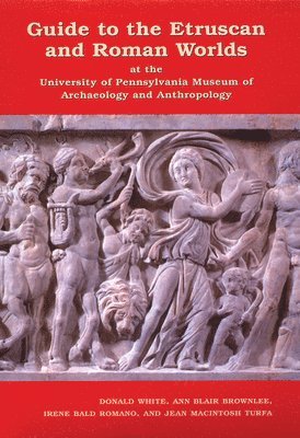 bokomslag Guide to the Etruscan and Roman Worlds at the University of Pennsylvania Museum of Archaeology and Anthropology