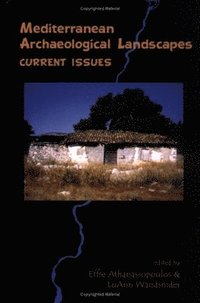 bokomslag Mediterranean Archaeological Landscapes - Current Issues