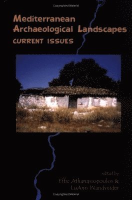 Mediterranean Archaeological Landscapes  Current Issues 1