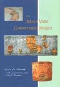bokomslag The Maya Vase Conservation Project