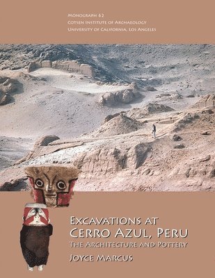 Excavations at Cerro Azul, Peru 1