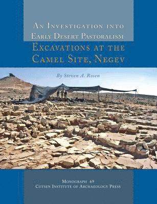 bokomslag Investigation into Early Desert Pastoralism