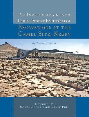 bokomslag An Investigation into Early Desert Pastoralism