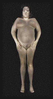 Gary Schneider: Nudes, Inbunden