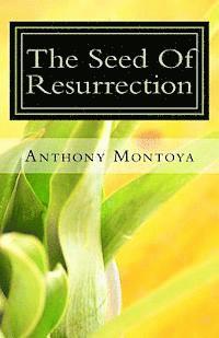 bokomslag The Seed Of Resurrection