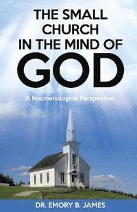 bokomslag The Small Church In The Mind Of God: A Noumenological Prespective