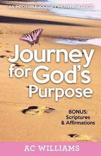 bokomslag Journey For God's Purpose