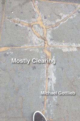 Michael Gottlieb - Mostly Clearing, Häftad