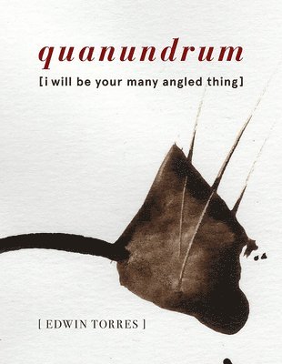 Edwin Torres - quanundrum [i will be your many angled thing], Häftad