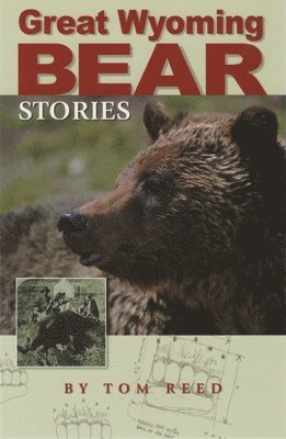 Tom Reed - Great Wyoming Bear Stories, Häftad
