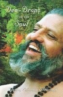 Yogiraj Gurunath Siddhanath - Dew-Drops Of The Soul, Häftad