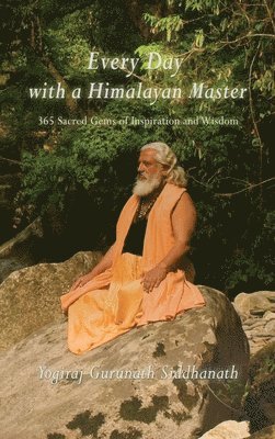 bokomslag Every Day With A Himalayan Master