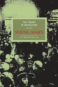 bokomslag The Theory Of Revolution In The Young Marx