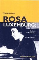 bokomslag Essential Rosa Luxemburg