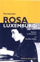 bokomslag The Essential Rosa Luxemburg