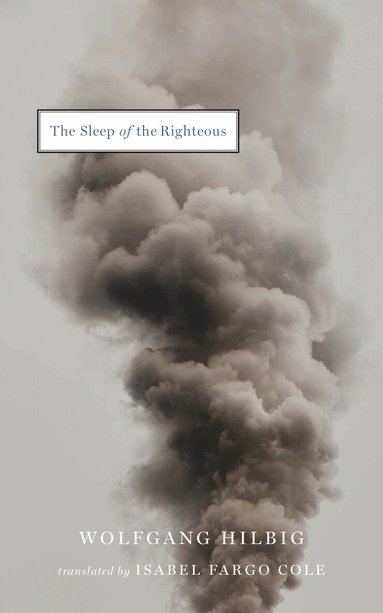 Wolfgang Hilbig - Sleep of the Righteous, Häftad