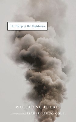 bokomslag The Sleep of the Righteous