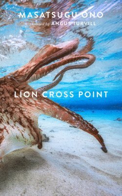 bokomslag Lion Cross Point