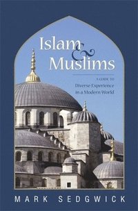bokomslag Islam & Muslims