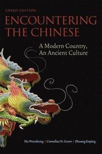 bokomslag Encountering the Chinese