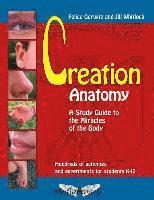 bokomslag Creation Anatomy: A Study Guide to the Miracles of the Body