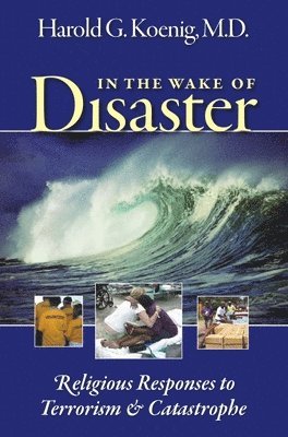 bokomslag In the Wake of Disaster