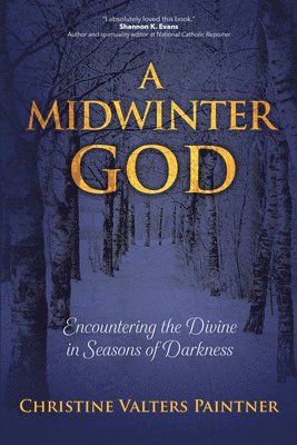 bokomslag A Midwinter God